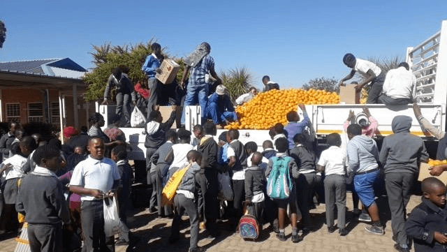 Fresh produce being prepared and packed for institutional and school feeding programmes.